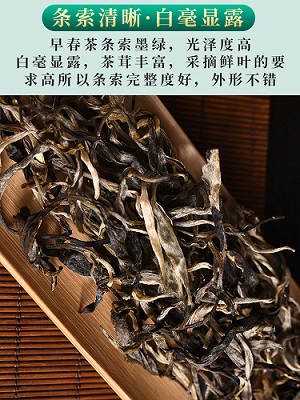 点击图片查看内容